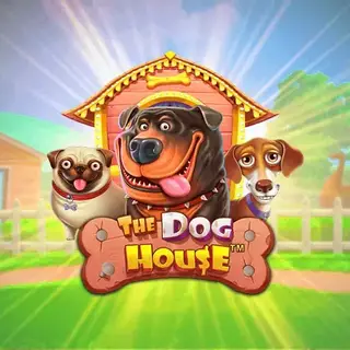 The Dog House – játék a SpinBetter kaszinóban